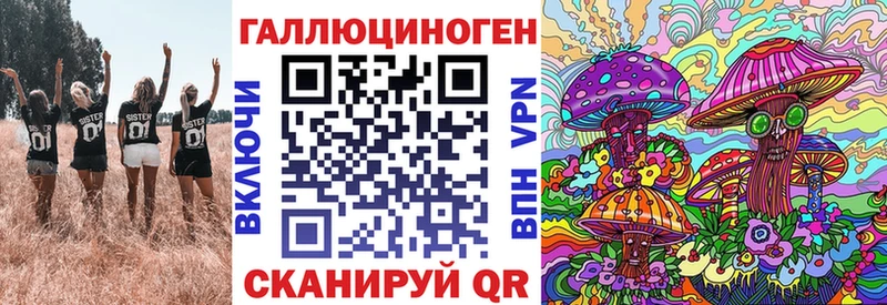Псилоцибиновые грибы Psilocybine cubensis  Снежинск 